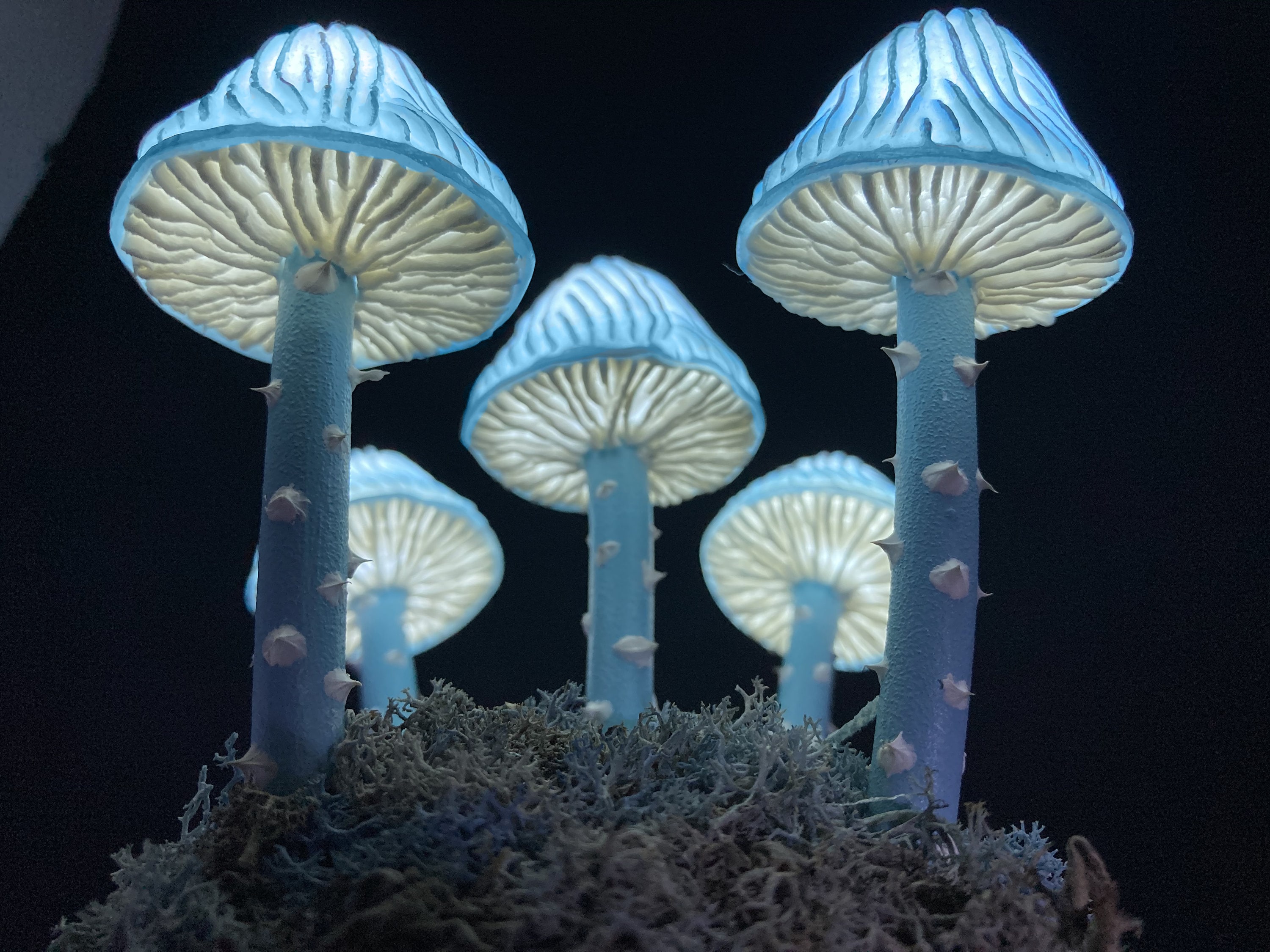 Blue mushroom lamp Mushroom night light psychedelic lamp Etsy