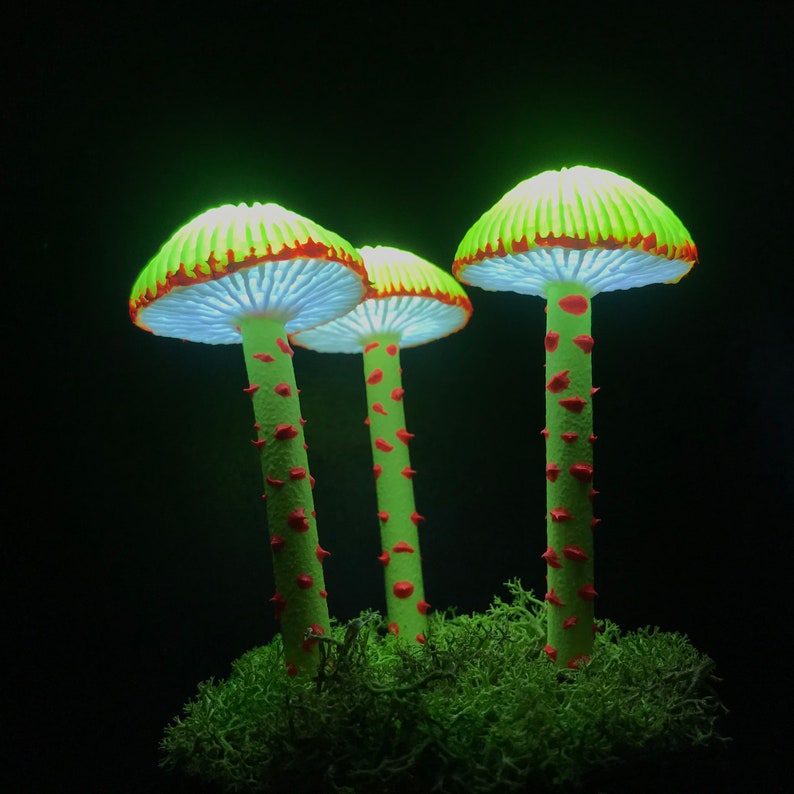 Fluorescent mushroom led night light trippy lamp glowing in Etsy