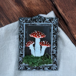 Cottagecore paddenstoel lijst met 3 vliegenzwam heksen muurkunst Forestcore decor slaapkamer schimmels cadeau