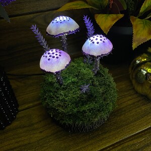 May include: Three purple and white mushroom shaped lights with white dots on the top of each mushroom, sitting on a bed of green moss.