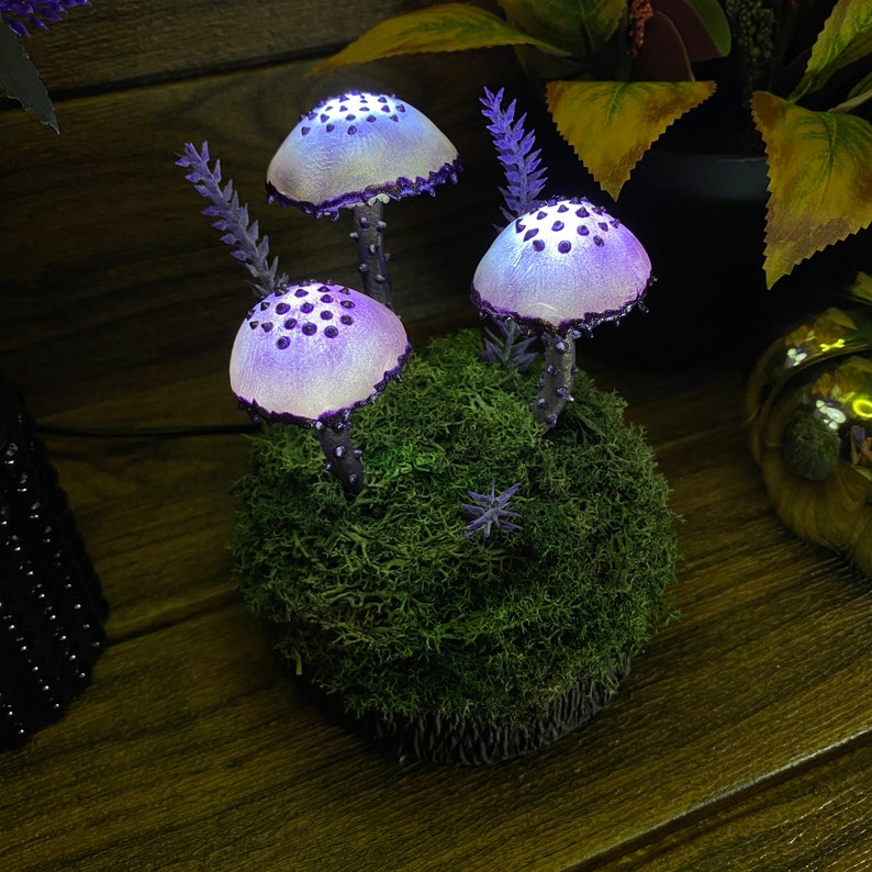 May include: Three purple and white mushroom shaped lights with white dots on the top of each mushroom, sitting on a bed of green moss.