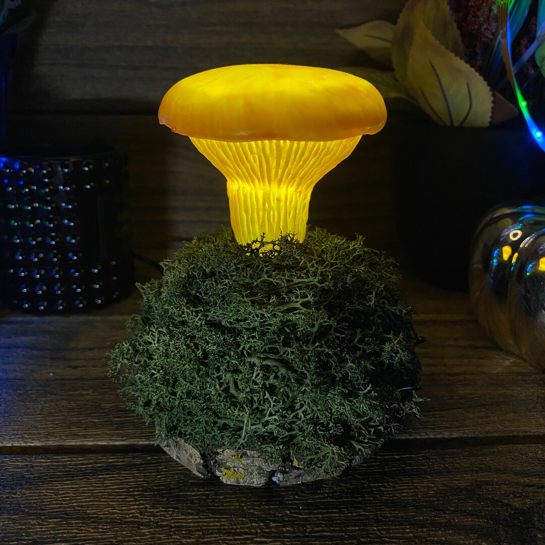 Chanterelle Mushroom Lamp Mushrooms Night Light Fungi Bedroom ...