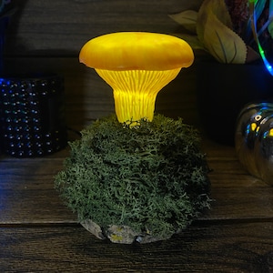 Chanterelle Mushroom lamp Mushrooms night light Fungi Bedroom Decoration  USB night light Housewarming Gift