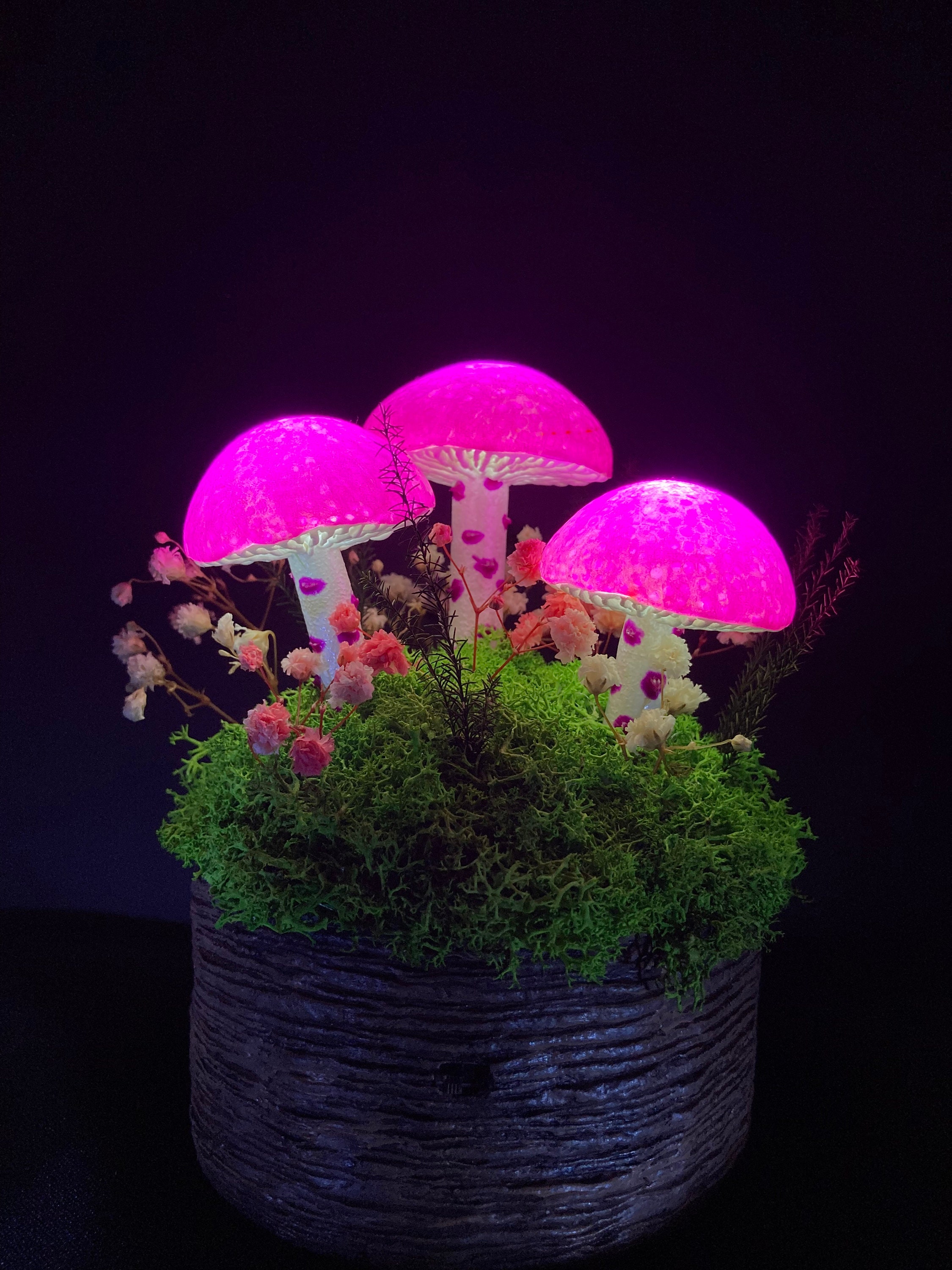 Lampe de table Led - Crystal Rosa 1W avec batterie rechargeable