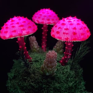 Neon Pink Mushroom Lamp Fairy night light Mushrooms lights Magic lamp USB Glowing in the dark Mushroom night light