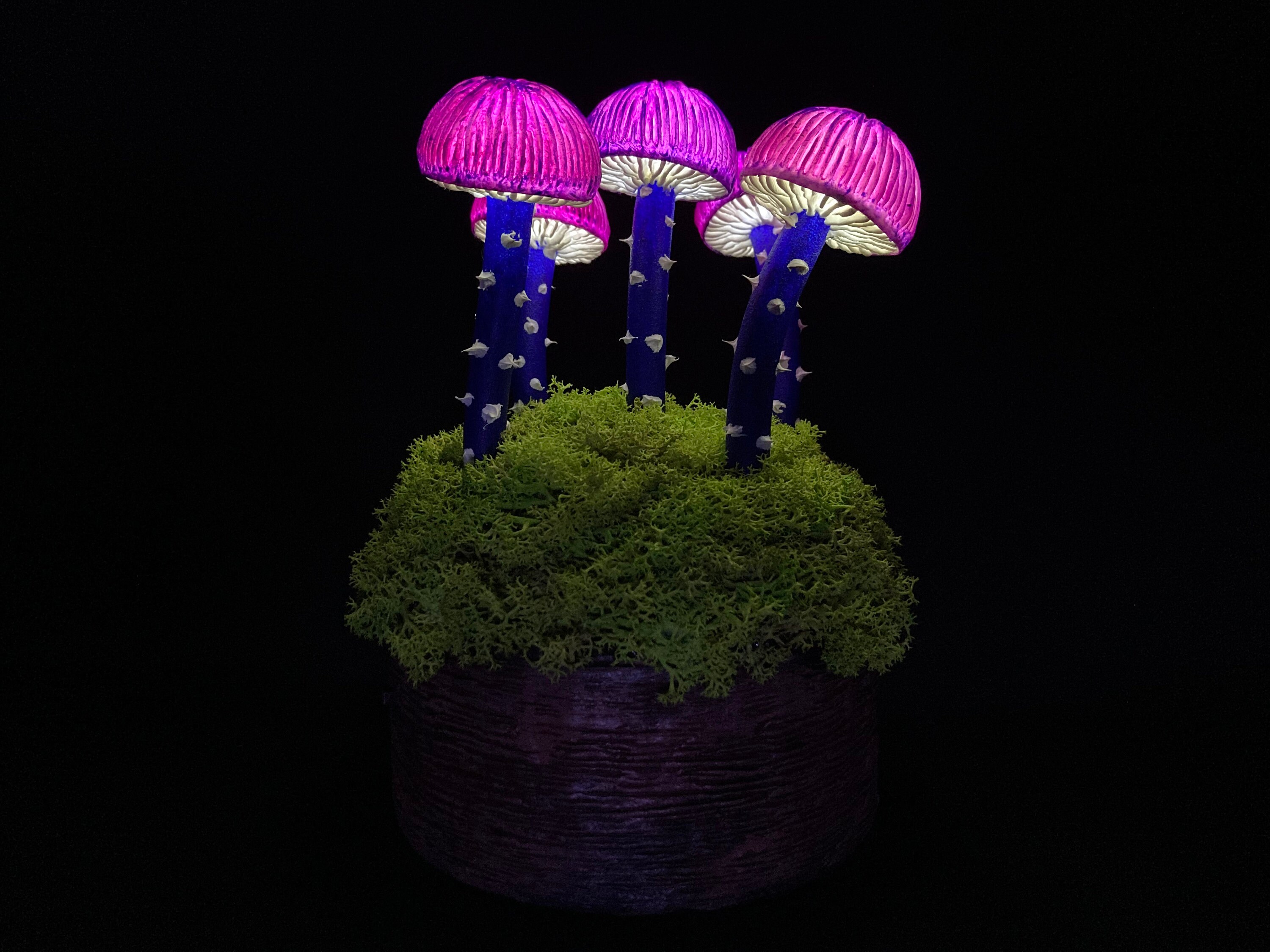 Glowing mushroom lamp Psychedelic lamp Fungus mood Led light Etsy