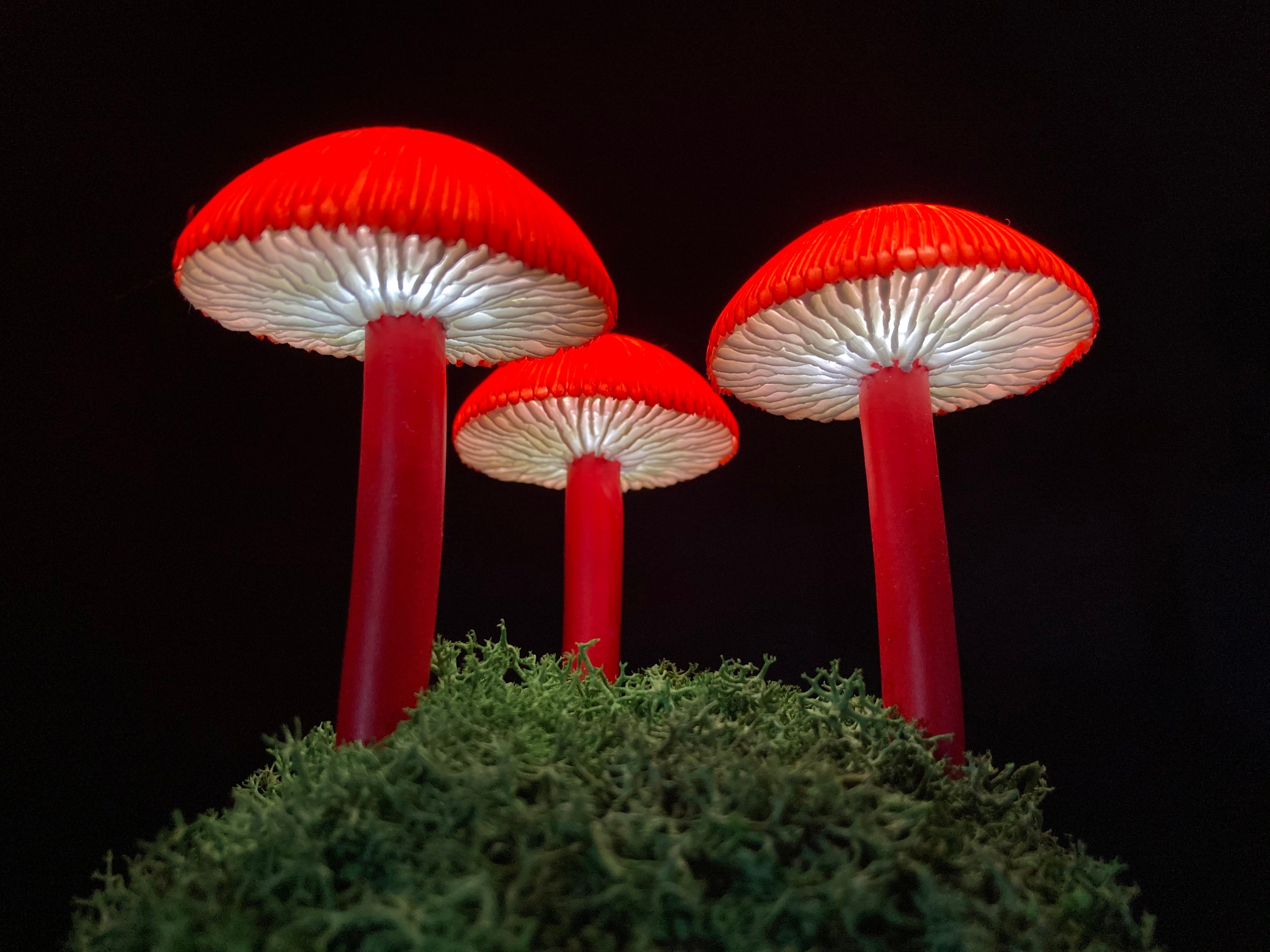 2 Pilz-Nachtlichter LED – Für Hippie, Grunge Oder Mario-Deko Im Schlafzimmer – ästhetisches Nachtlicht Für Nachttisch