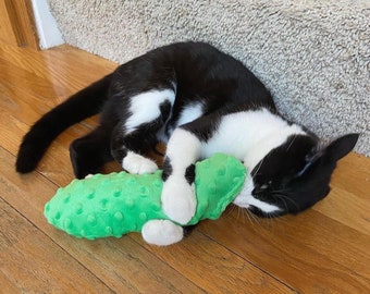 catnip pickle