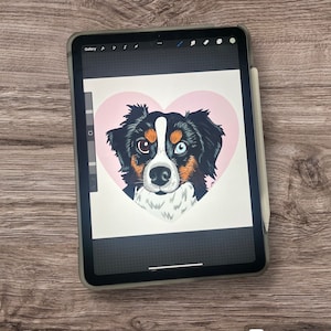 May include: A digital tablet displaying a colorful illustration of an Australian Shepherd dog with heterochromia, featuring one brown eye and one blue eye, set against a soft pink heart background, with a white stylus attached to the side.