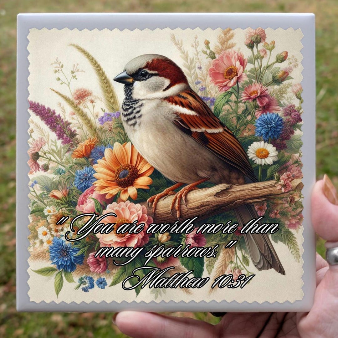 You Are Worth More Than Many Sparrows Lens Cloth | JW Gift ...