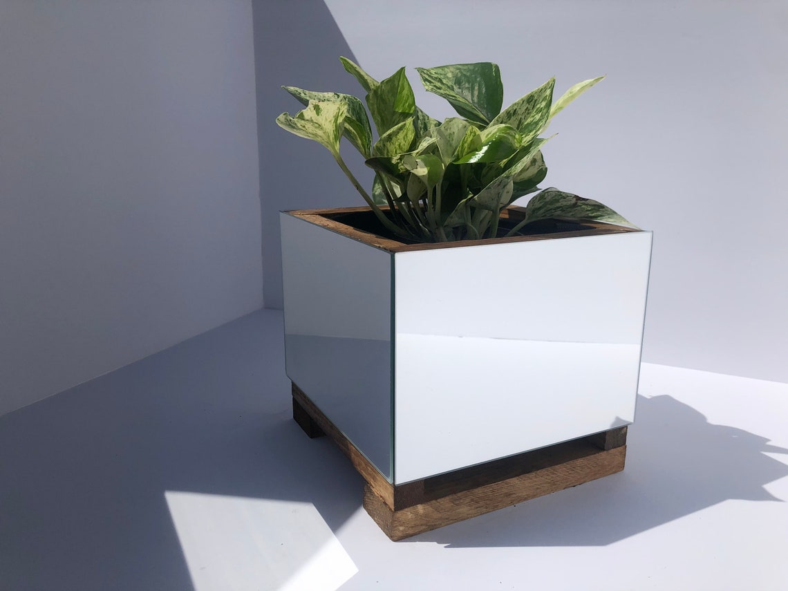 Mirror Planter Etsy
