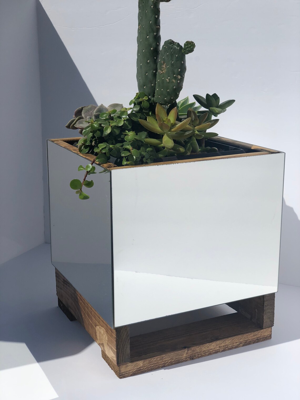 Mirror Planter Etsy