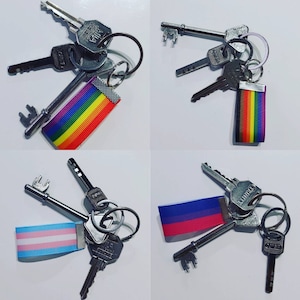 Puede incluir: Un conjunto de llaves en llaveros plateados, cada uno con una cinta de colores. Las cintas muestran las banderas del arco&iacute;ris, transg&eacute;nero y bisexual. Las llaves son de varios tama&ntilde;os y formas.