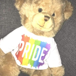 Pride Bear Teddy LGBT