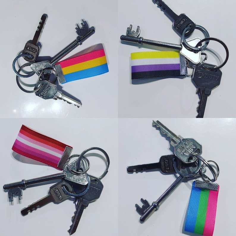 Puede incluir: Un conjunto de llaves en llaveros plateados, cada uno con una cinta colorida. Las cintas muestran los colores de las banderas del orgullo pansexual, no binario, l&eacute;sbico y bisexual. Las llaves son de varias formas y tama&ntilde;os.
