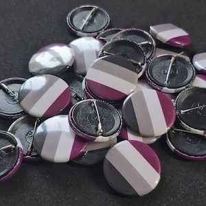 Asexual lgbtqi+ pride pin