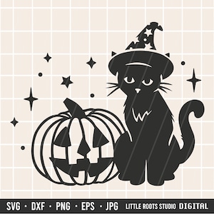 May include: A black cat wearing a witch's hat sits next to a jack-o'-lantern with a toothy grin.  Stars sparkle around the pair.