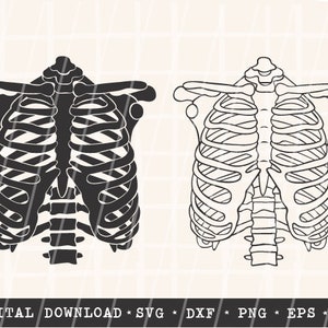 Rib Cage Bundle SVG / Rib Cage SVG / Skeleton SVG / Halloween Cut File / Digital Download / Cricut / Silhouette / Ribs / Bones Cut File