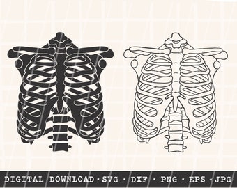 SVG-bundel ribbenkast: skeletgesneden bestand voor Cricut/silhouet (digitale download)