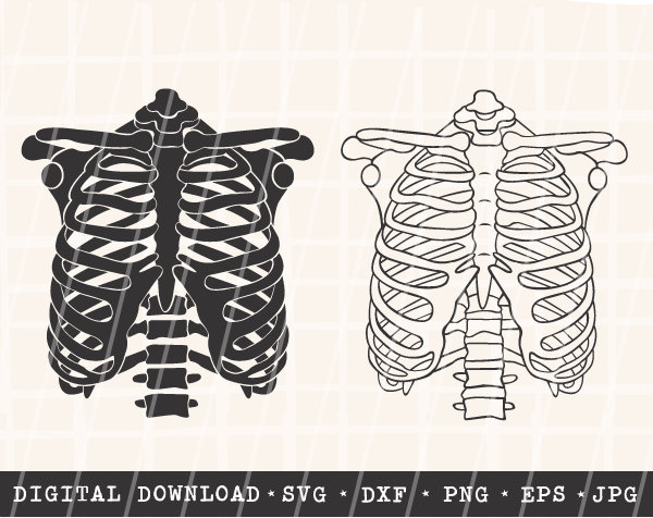 rib-cage-bundle-svg-rib-cage-svg-skeleton-svg-halloween-cut-file-digital-download-cricut-silhouette-ribs-bones-cut-file-etsy