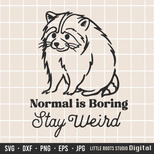 May include: A black line art illustration of a raccoon on a grid background. Below the raccoon, the text reads Normal is Boring Stay Weird. The bottom of the image includes the text SVG, DXF, PNG, EPS, JPG, and LITTLE ROOTS STUDIO Digital.