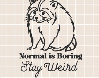 Jimothy der Waschbär / Jimothy SVG / Niedliche Tiere SVG / Skurriles Zitat SVG / Bleib schräg / Digitaler Download / Waschbär SVG / Jimothy / Cricut