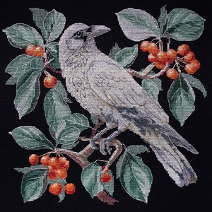 May include: A white raven perched on a branch with green leaves and red berries. The raven has a black eye and a long, pointed beak.