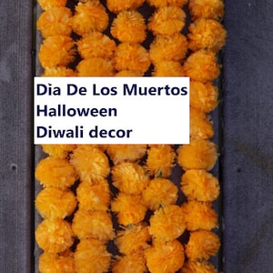 May include: Close-up of a vibrant display of orange marigold flowers, arranged closely together. The flowers are a bright, cheerful orange. Text on the image reads: Dia De Los Muertos, Halloween, Diwali decor.