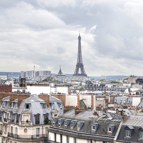 PARIS ROOFTOP PANORAMA, France, Eiffel Tower, Le Printemps, Department Store, Cityscape, Architecture, Print, Photograph, Mat, Art, Romantic