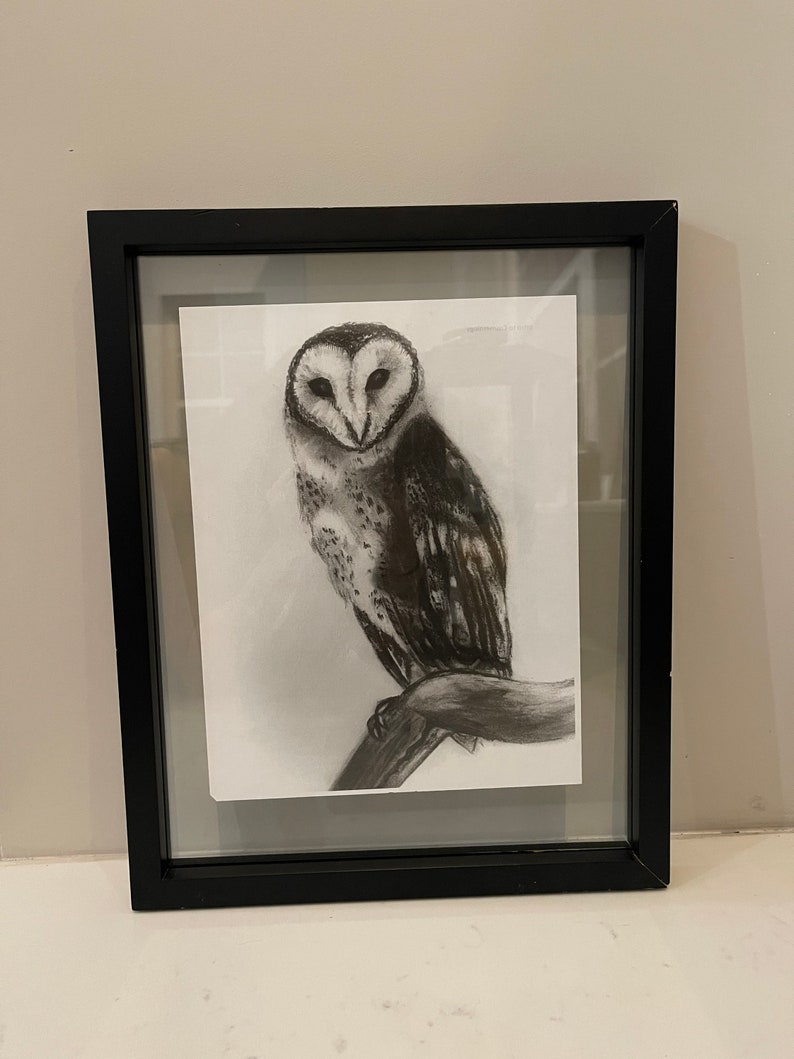 Printable Barn Owl Drawing PNG Download Printable Bird Art - Etsy