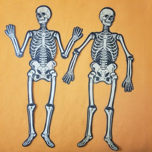 May include: Two black skeleton cutouts with white bones, standing on a solid orange background.