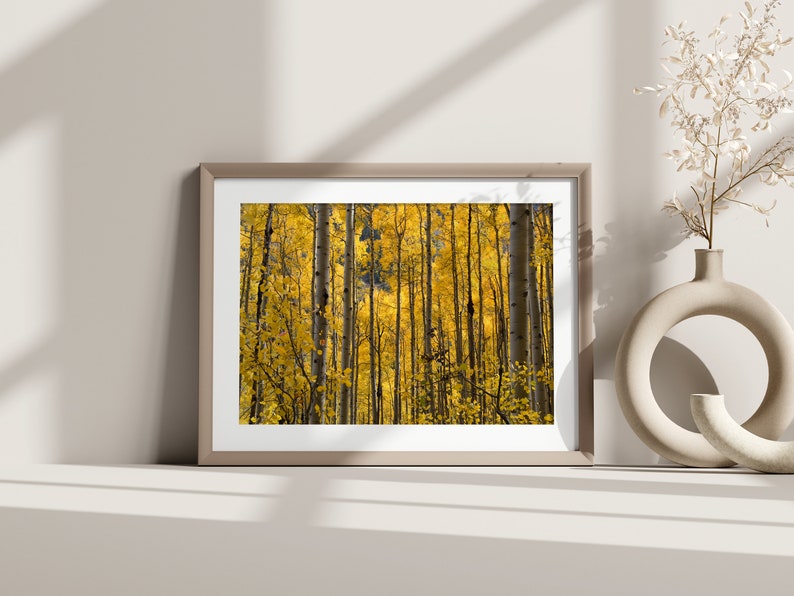 Colorado Herbstfarbe Espe Herbst Foto Espe Colorado Wandbild Bild 1