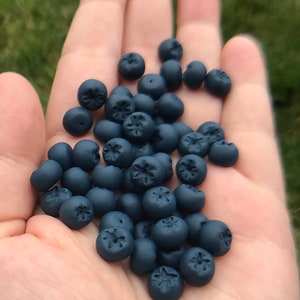 Handgjorda blåbärs-/frukt-/matresursmarker för vingspann och andra brädspel