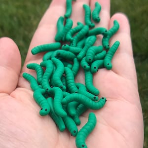 Wingspan Compatible Caterpillar/Worm Food Tokens – Durable, No-Fade Colors – Made in USA