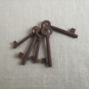 Può includere: Un piccolo gruppo di chiavi antiche, che mostrano una patina marrone arrugginita. Le chiavi sono disposte su una superficie strutturata a tono neutro, suggerendo un tema vintage o storico. Le chiavi sono di varie dimensioni e forme.
