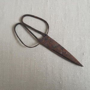 May include: A vintage pair of scissors with a rusty, brown appearance. The scissors feature a pointed blade and two looped handles. The image is set against a light grey textured backdrop.