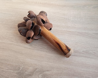 Maracas de bambú pangi vintage, instrumento tribal para meditación, sanación con sonido de semillas naturales, decoración bohemia hecha a mano y regalo para amantes de la música.