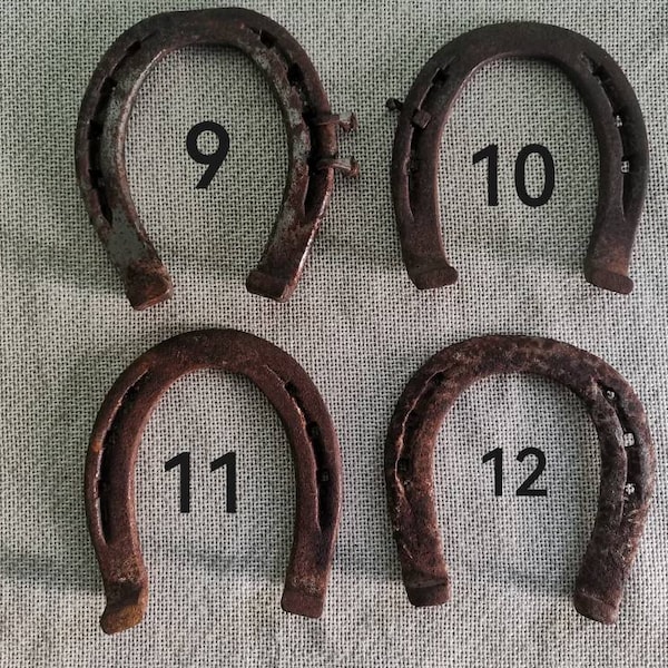 Horseshoe Over Door Etsy