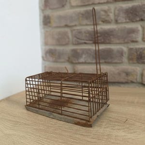 May include: An antique, rusty metal cage-style mouse trap. The rectangular cage has a wire mesh design with a metal base. A wire handle extends upwards. The trap sits on a wooden surface with a brick wall background.