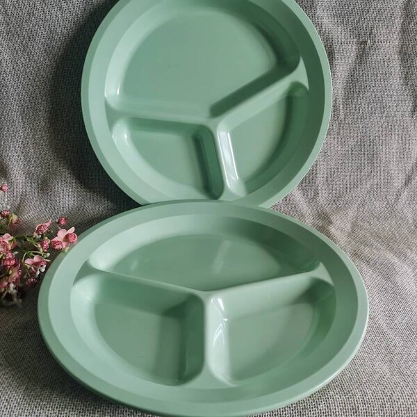Divided Dinner Plate Etsy