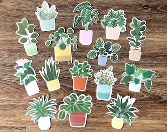 Mega Plant Sticker Pack | Set of 15 Houseplant Stickers | Waterproof Stickers for Hydroflask