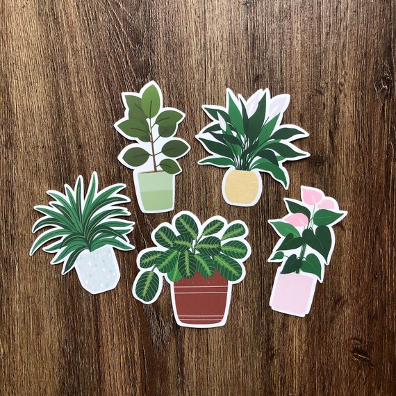 Plant Sticker Set | Houseplant Stickers | Vinyl Die Cut Stickers for Hydroflask | Plant Laptop Decal