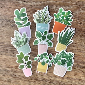 May include: A collection of eight die-cut stickers featuring various green houseplants in colorful pots. The designs include a fiddle leaf fig in a lavender pot, a fern in a teal pot, a leafy plant in an orange pot, and a monstera in a pink pot.
