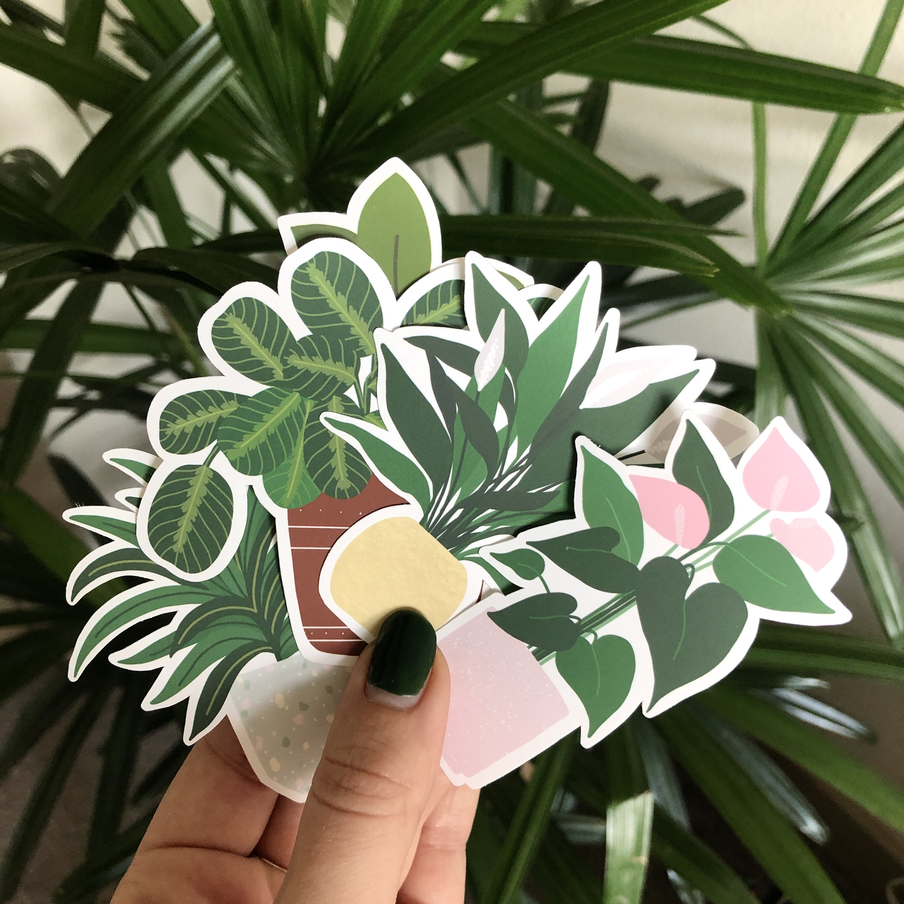 Plant Sticker Set Houseplant Stickers Vinyl Die Cut Etsy