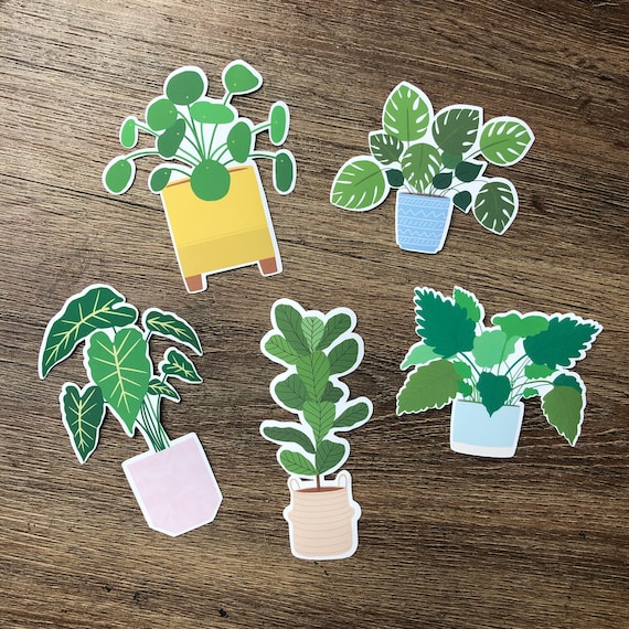 Potted Plants Sticker Pack | Vinyl Houseplant Stickers | Waterproof Hydroflask Stickers | Scrapbook Stickers | Laptop Decals