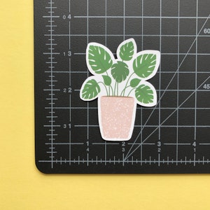 May include: A die-cut sticker of a potted monstera plant with green leaves and a speckled light pink pot. The sticker is placed on a black cutting mat with white grid lines and imperial measurements, showing the plant is approximately 2.5 inches tall.