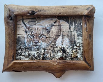 Lince, dipinto acrilico su corteccia di betulla, cornice rustica in legno, arte naturalistica (14 x 18 cm)