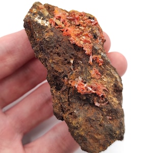 Könnte beinhalten: Ein rauer, dunkelbrauner Stein mit eingebetteten leuchtend orangefarbenen Kristallen. Der Stein ist etwa handgroß.