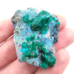 30g Dioptase in Chrysocolla - Dioptase from Sanda, Mindouli, Republic of Congo - Green Dioptase Crystal - Raw Dioptase Mineral Specimen