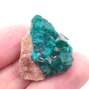 10g Dioptase Crystal from Congo - Natural Green Dioptase Mineral Specimen - Small Dioptase Specimen - Raw Dioptase Gem